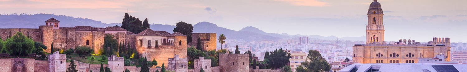 Stedentrip Malaga