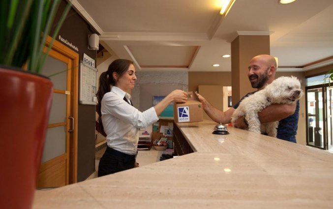 Receptie van Hotel Azuline Mediterraneo op Ibiza