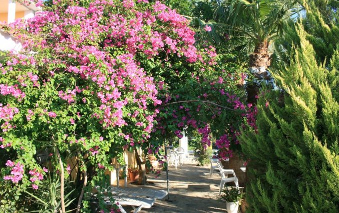 Tuin van Hotel Metaxa op Zakynthos