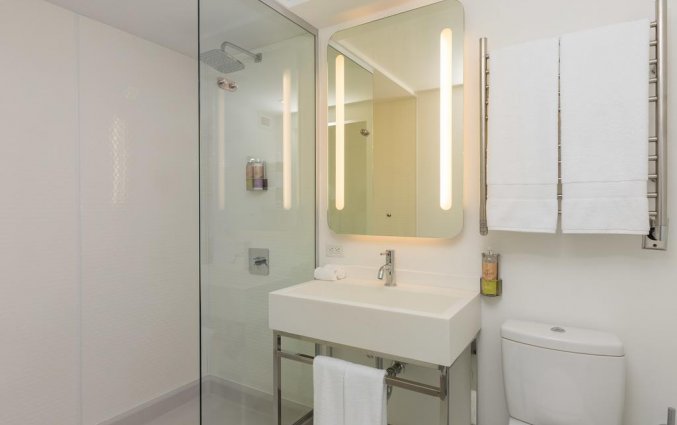Badkamer van een tweepersoonskamer van Hotel Yotel New York in New York