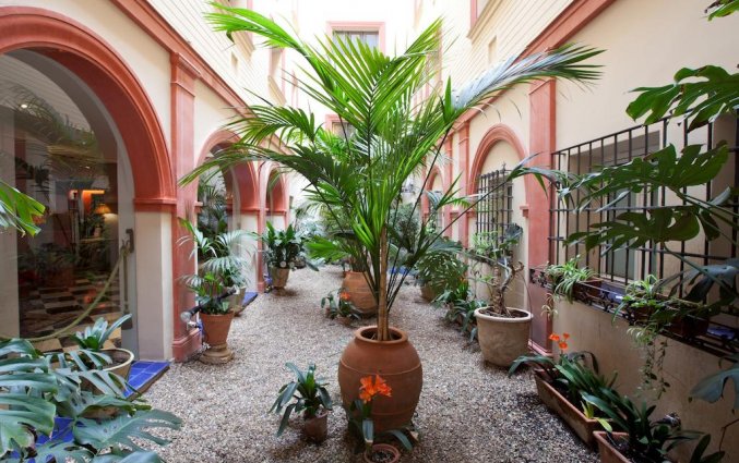 dona maria buitenplaats