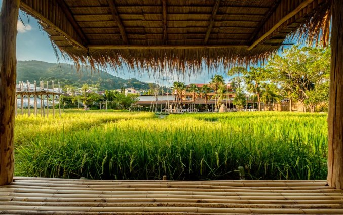 Uitzicht van Naina Resort & Spa