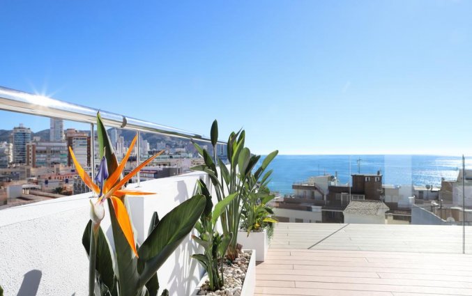 Dakterras van hotel Alameda in Alicante