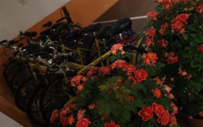 Fietsen van hotel Italia Verona