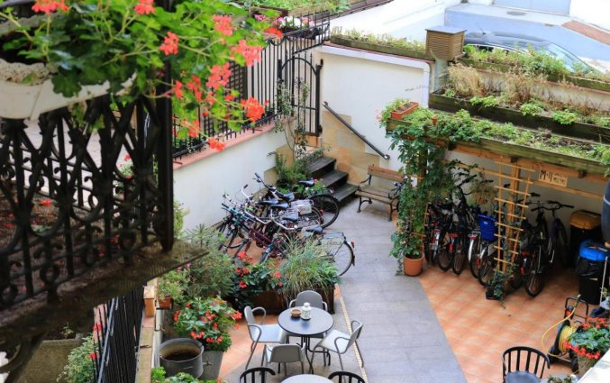 Tuin bij Chopin Boutique BnB