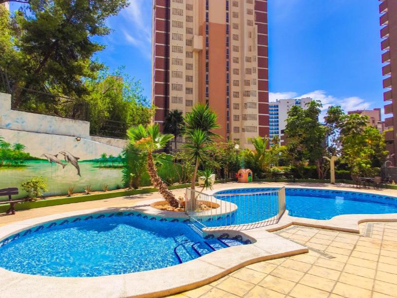 Picasso Fincas - Pool