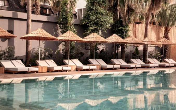 Zwembad van Cook's Club Alanya - Adult Only