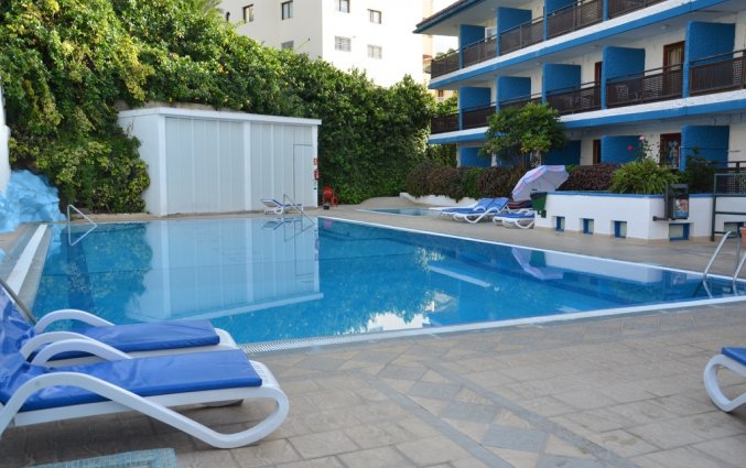 Buitenzwembad van Studio's Pez Azul op Tenerife