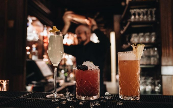 Bar Hotel Copenhagen Plaza