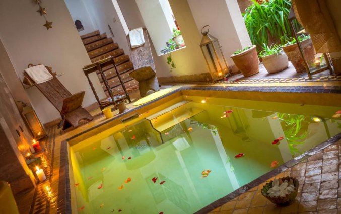Coolzwembad van Riad Sable Chaud Marrakech