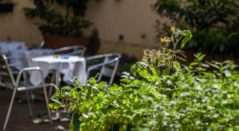 Tuin van hotel Donauwalzer Wenen