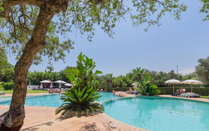 Buitenzwembad van Resort Balaia Golf Village in Algarve
