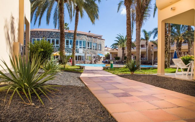 Appartementen The Koala Garden Suites in Gran Canaria