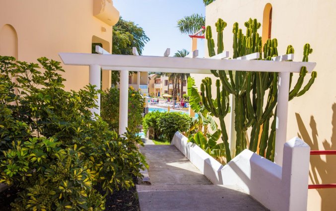 Appartementen The Koala Garden Suites in Gran Canaria